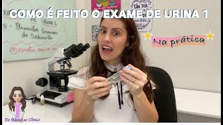 Sintomas da Infecção Urinária em homens e mulheres [upl. by Nahor]