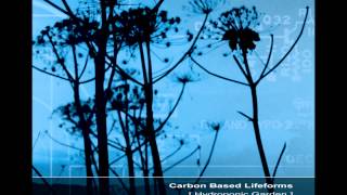 Carbon Based Lifeforms  Hydroponic Garden Full Reissued Album [upl. by Filip337]