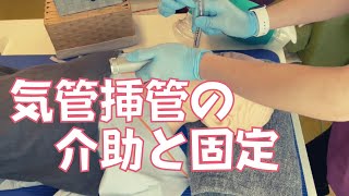 看護師向け！気管挿管の介助と固定のポイント【急変対応net】 [upl. by Ailis]