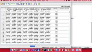 SPSS  Survey Analysis [upl. by Swagerty]