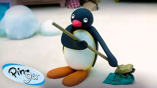 Pingu at Home 🐧  Pingu  Official Channel  Cartoons For Kids [upl. by Behm259]