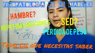 ¿Porqué un diabético tiene sed hambre perdida de peso y mucha orina Fisiopatología de la diabetes [upl. by Teador]