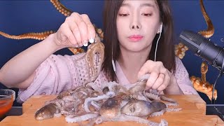 Octopus Eating Live Ssoyoung ASMR  watch all the way through [upl. by Nylrahs]