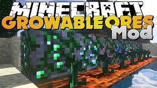 Minecraft  GROWABLE ORES MODS  NEW WAYS TO GROW ORES [upl. by Yruama]