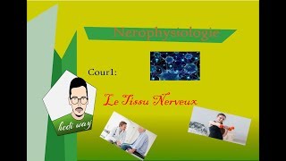 01 Tissu Nerveux  Neurophysiologie Bac Tunisie [upl. by Hobbs]