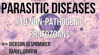 Parasitic Diseases Lectures 19 NonPathogenic Protozoans [upl. by Mehetabel]