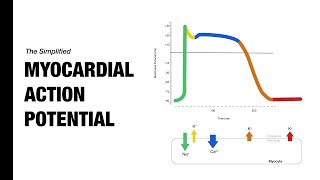 Ventricular Action Potential  Medzcool [upl. by Pamelina]