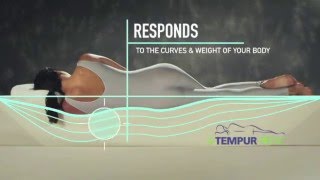 TempurPedic Adapt Technology [upl. by Wynnie]