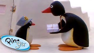 Pingu Delivers the Mail  Pingu Official  Cartoons for Kids [upl. by Sihtnyc385]