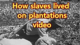 Plantation life for slaves in the South [upl. by Cown405]