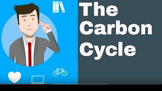 Explain the Carbon Cycle [upl. by Ingar952]