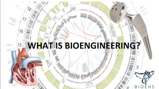 What is Bioengineering  BioEHS [upl. by Elbys]