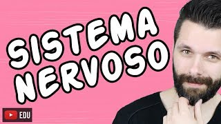 SISTEMA NERVOSO  FISIOLOGIA  Aula  Biologia com Samuel Cunha [upl. by Dallis]