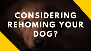 Considering Rehoming Your Dog [upl. by Einad684]