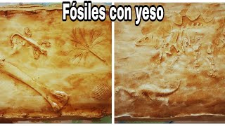 Como hacer Fósiles con yeso [upl. by Rehoptsirhc396]