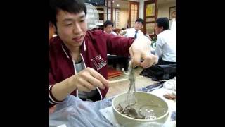 Korean eating living Octopus San Nakji 산낙지 [upl. by Kerstin]