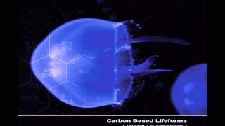 Carbon Based Lifeforms  World Of Sleepers Full Album [upl. by Cortie12]