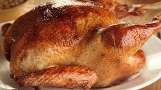 How To Cook A Turkey  Oven Roasted Turkey  Easy Thanksgiving Turkey Recipe  The Hillbilly Kitchen [upl. by Jerman781]