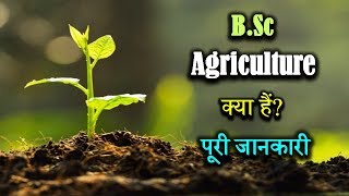 What is BSc Agriculture With Full Information – Hindi – Quick Support [upl. by Nazar280]