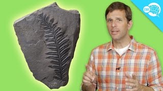 How Carbon Dating Works [upl. by Wolgast]