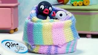 Pingu Gets Creative 🐧  Pingu  Official Channel  Cartoons For Kids [upl. by Frydman]