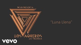 Wisin  Luna Llena Cover Audio [upl. by Nagrom]