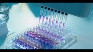 Test ELISA [upl. by Furtek]