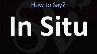 How to Pronounce In Situ CORRECTLY [upl. by Peggir]