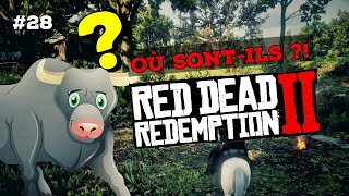 28 BOEUF amp HONNEUR  OÙ LES CHASSER  RED DEAD REDEMPTION 2 [upl. by Aekerly568]