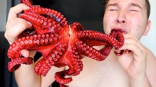 Giant Octopus • My First Time • MUKBANG [upl. by Emili]