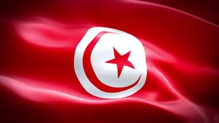 Drapeaux Tunisie علم تونس Flag Tunisia [upl. by Atiuqer726]