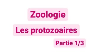 Zoologie L2  les protozoaires SNV [upl. by Rehpotsirahc]