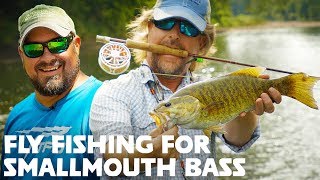 FLY FISHING for Smallmouth Bass Streamers  Poppers [upl. by Nosnah]