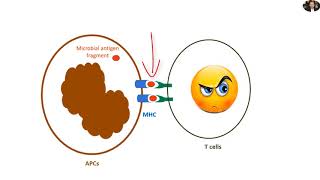 Immunology General Review innate and adaptive immunity [upl. by Viens]