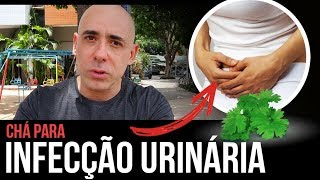 Pediatria  Infecção do Trato Urinário [upl. by Carew145]