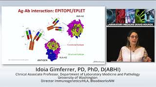 HLA and Transplantation [upl. by Ahseekat]