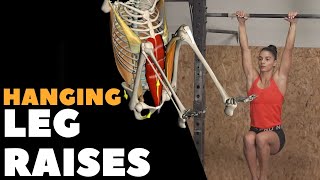 Hanging Leg Raises I Anatomical Analysis [upl. by Llenej]