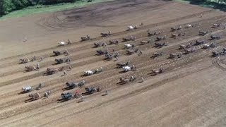 Mules Plowing for the Guinness World Record [upl. by Annahael775]