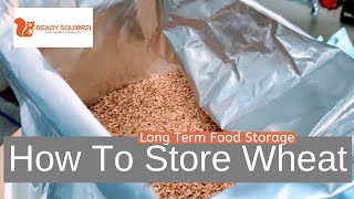 How To Store Wheat LongTerm Food Storage [upl. by Pulchia]