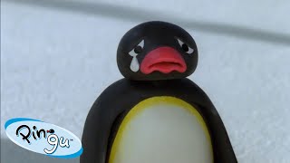 Pingu’s Emotions  Pingu  Official Channel  Cartoons For Kids [upl. by Anamor599]