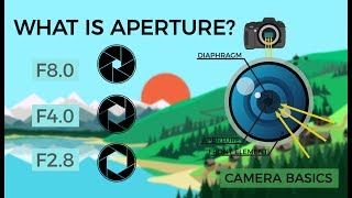 Camera Basics  Aperture [upl. by Methuselah]