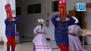 DANZA LOS NEGRILLOS DE AREQUIPA [upl. by Hgielram676]