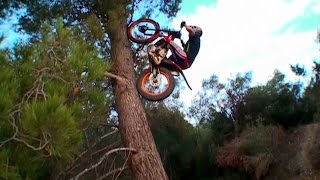 Toni Bou  Tribute [upl. by Yvaht]