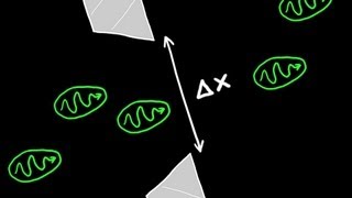 Heisenbergs Uncertainty Principle Explained [upl. by Anawak]