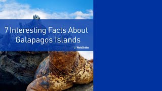 7 Interesting Facts About the Galapagos Islands [upl. by Rexanna]