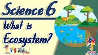 SCIENCE 6 ECOSYSTEM  Grade 6 [upl. by Merce]