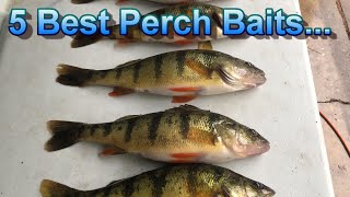 Perch Fishing Tips  The Only 5 Perch Baits That Matter [upl. by Jessa293]