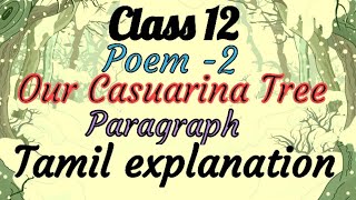 Class 12 Poem 2 Our Casuarina Tree Poem paragraph Part1Tamil Explanation Gramathukkum Grammar [upl. by Joice]