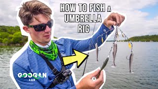 HOW TO FISH A UMBRELLA RIG  Alabama RIG [upl. by Eivets]