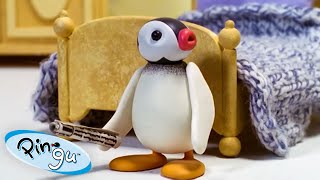 All About Pinga 🐧  Pingu  Official Channel  Cartoons For Kids [upl. by Champaigne890]